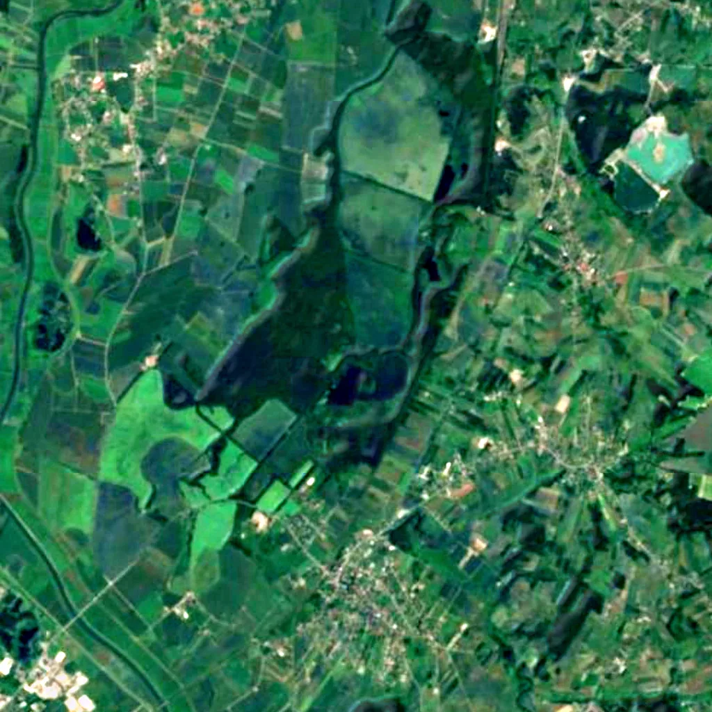 Dąb Sobieskiego w Łężczoku seen from above (Sentinel-2)