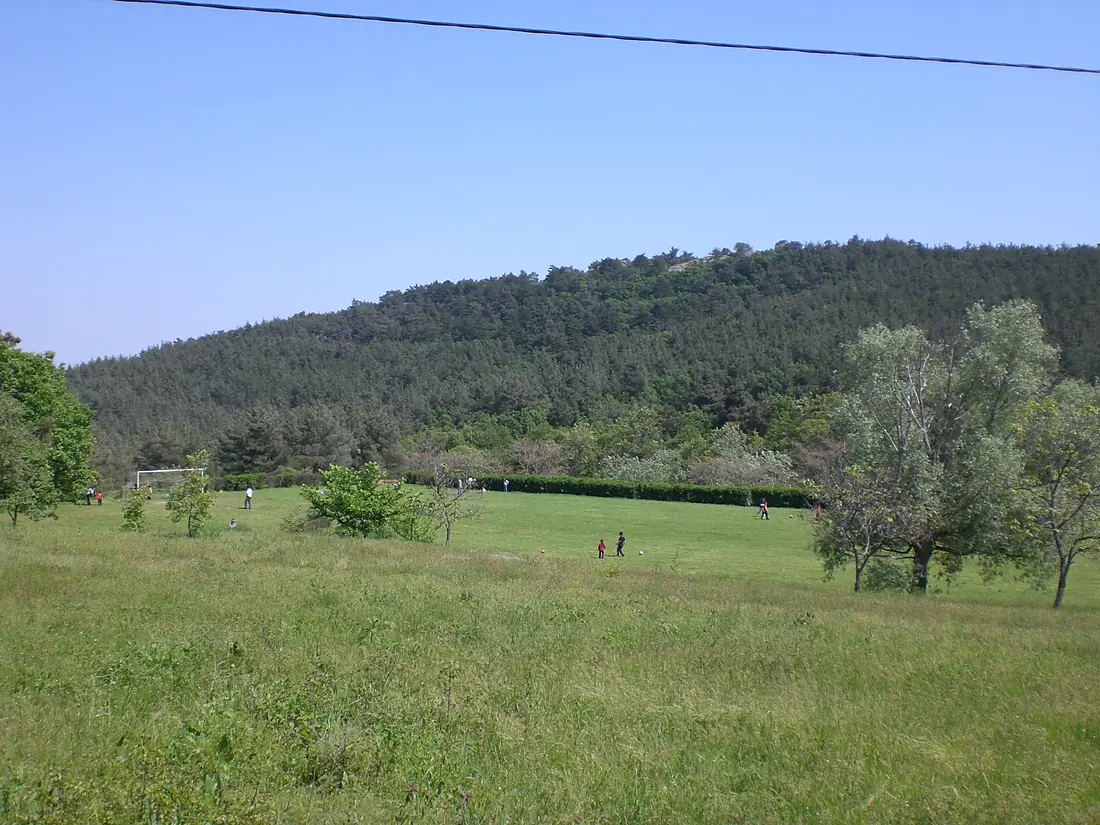 Dadia forest view
