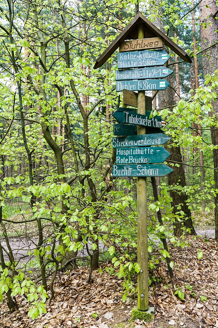 Dahlen Heide Wegweiser-02
