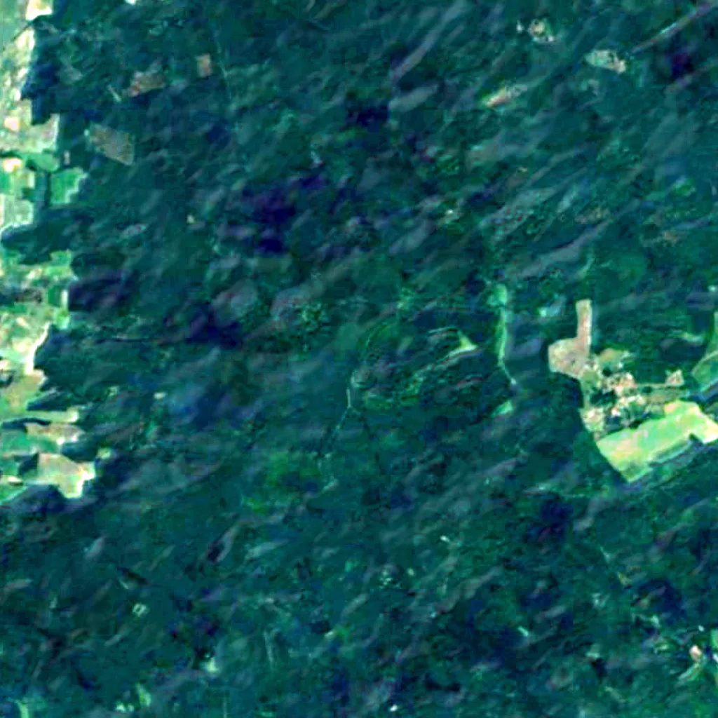 Dahlener Heide seen from above (Sentinel-2)