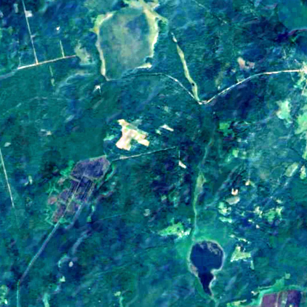 Dainava Forest seen from above (Sentinel-2)