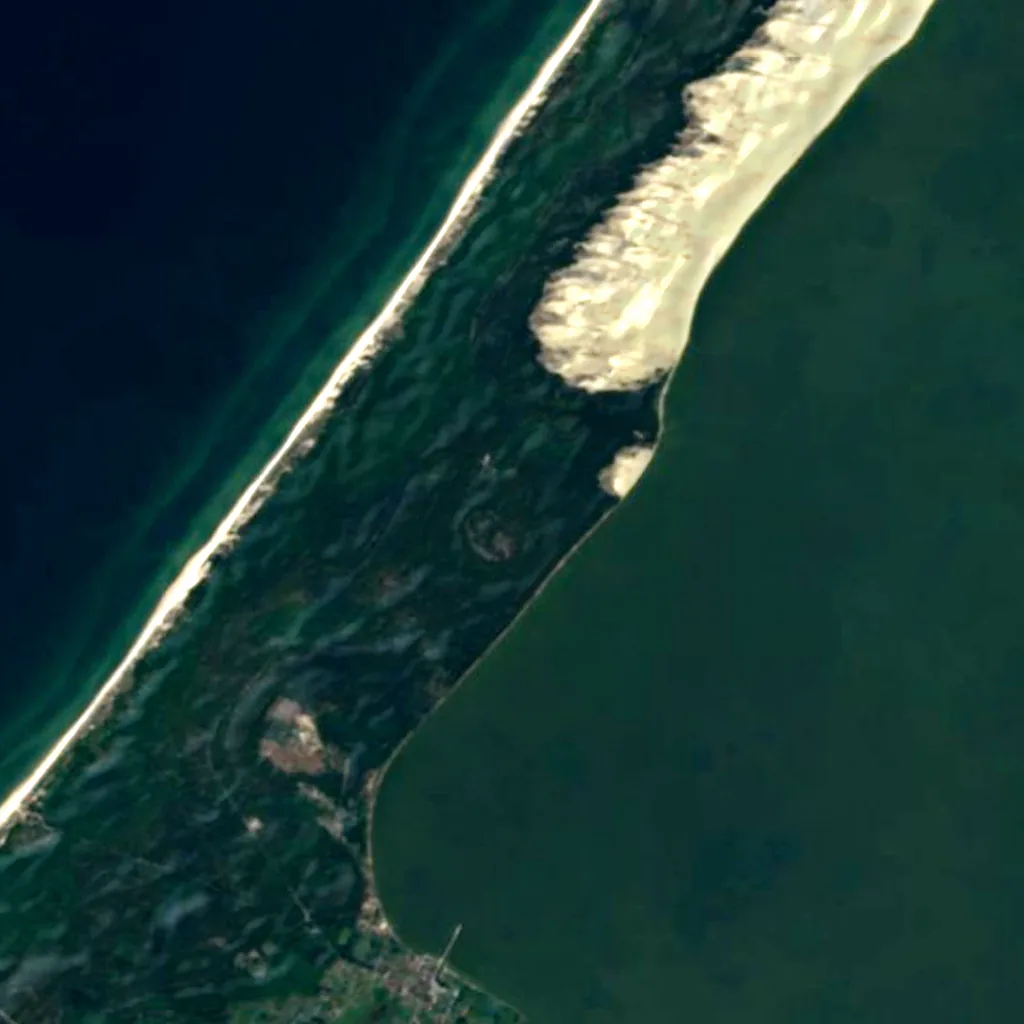 Dancing Forest seen from above (Sentinel-2)
