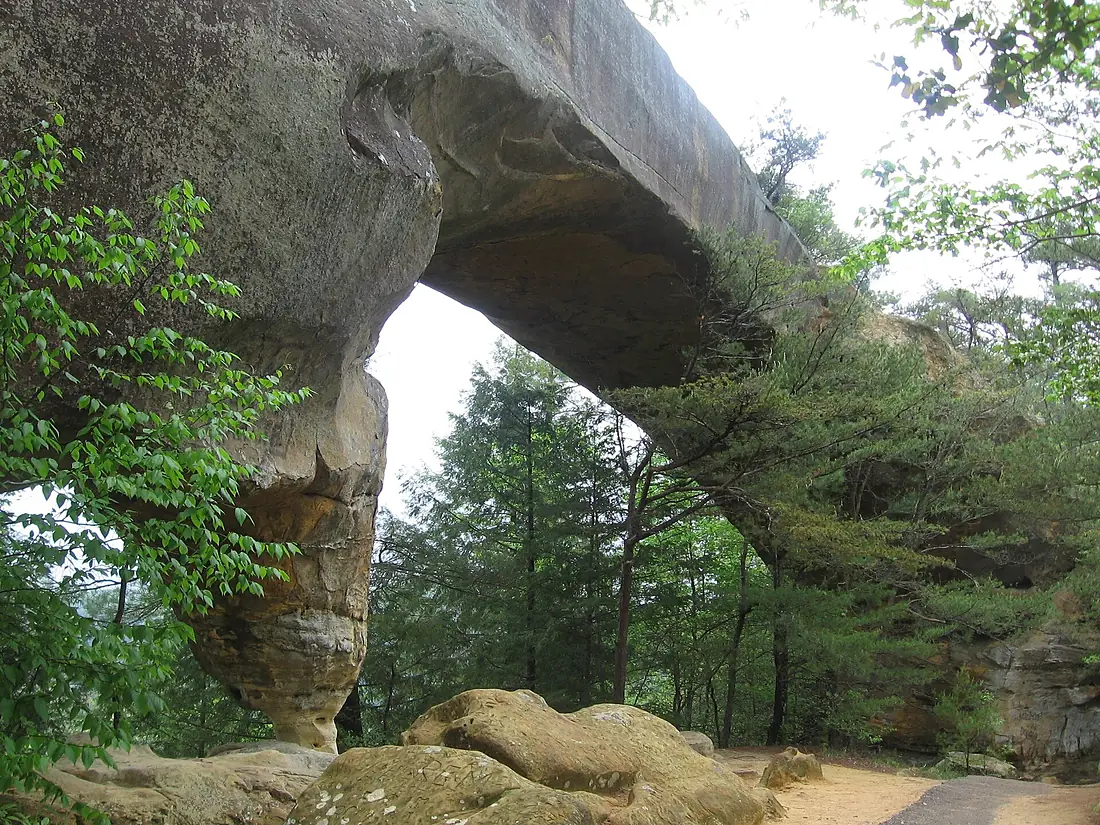 20080509-FS-DanielBoone-003 (17068521028)
