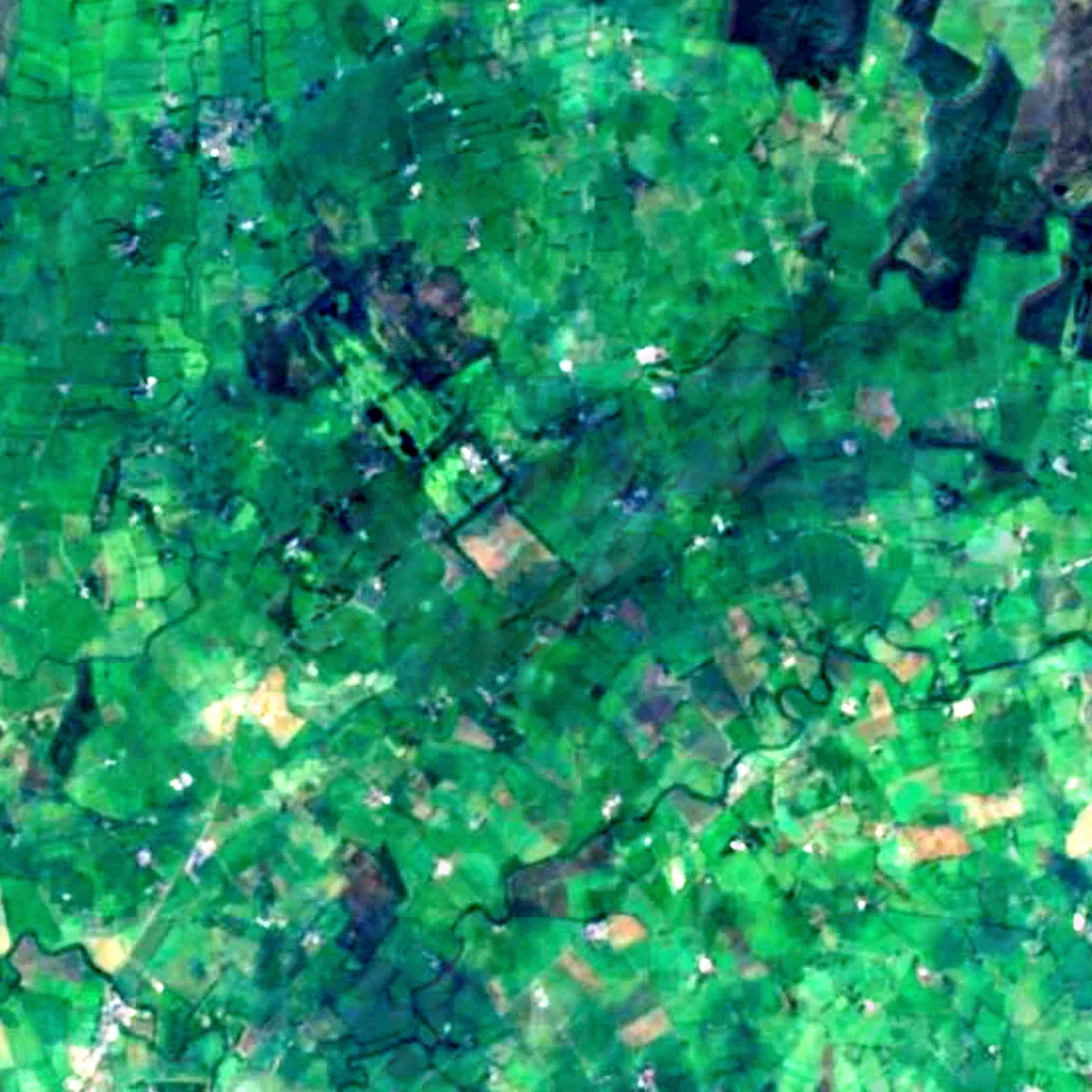 Dark Hedges seen from above (Sentinel-2)