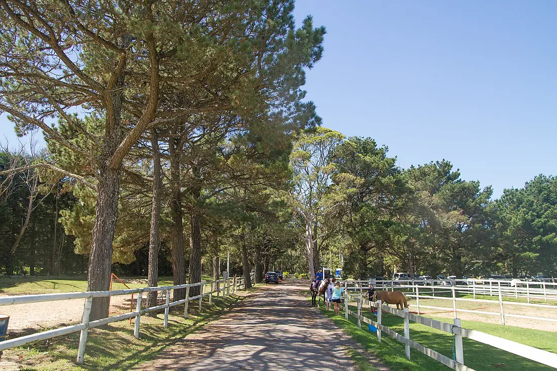 Darkes Forest NSW 2508, Australia - panoramio (37)