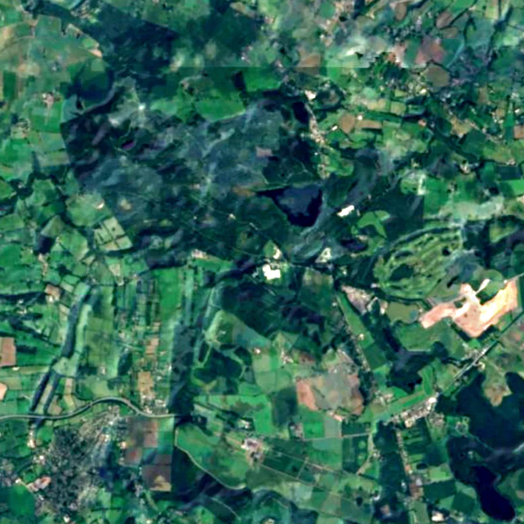 Delamere Forest seen from above (Sentinel-2)