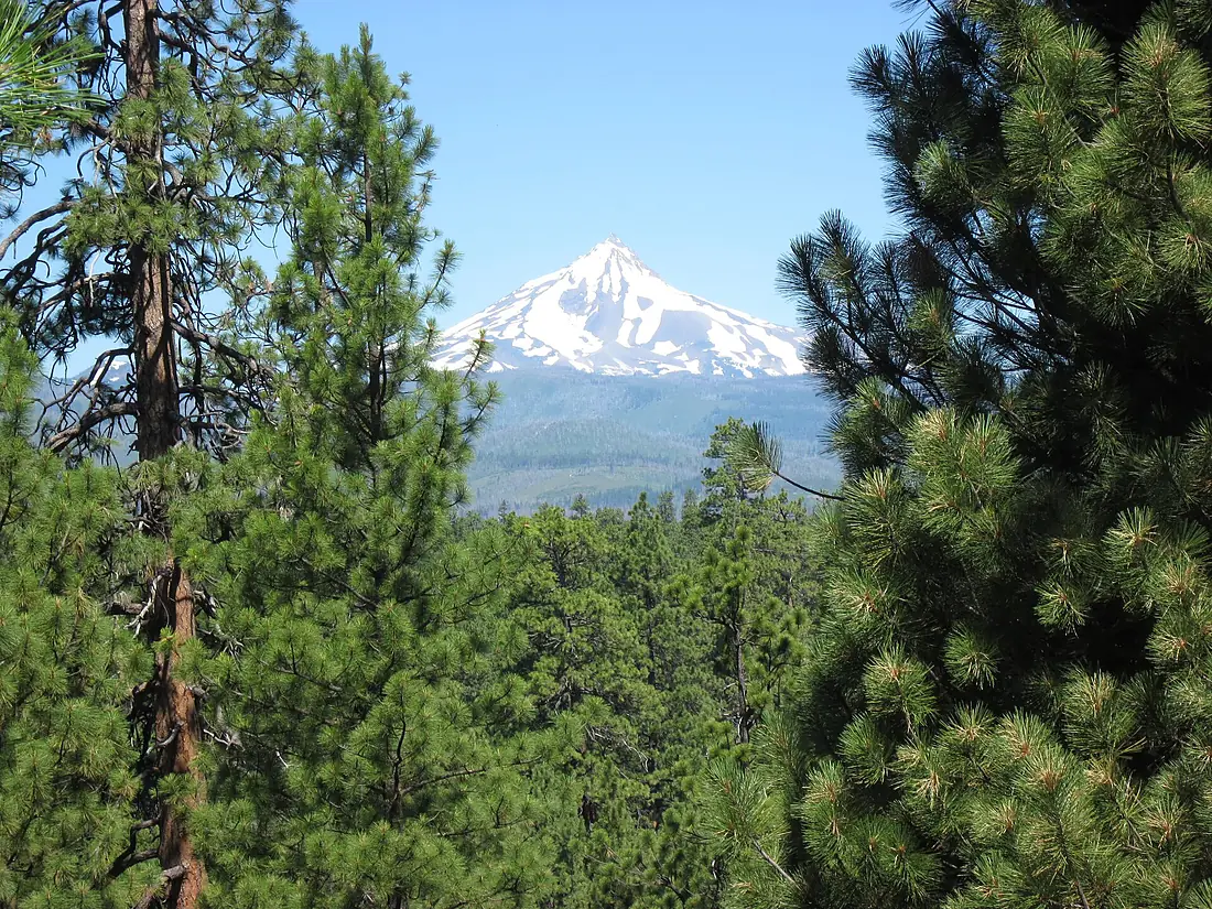 Deschutes National Forest - Oregon - 6031621271