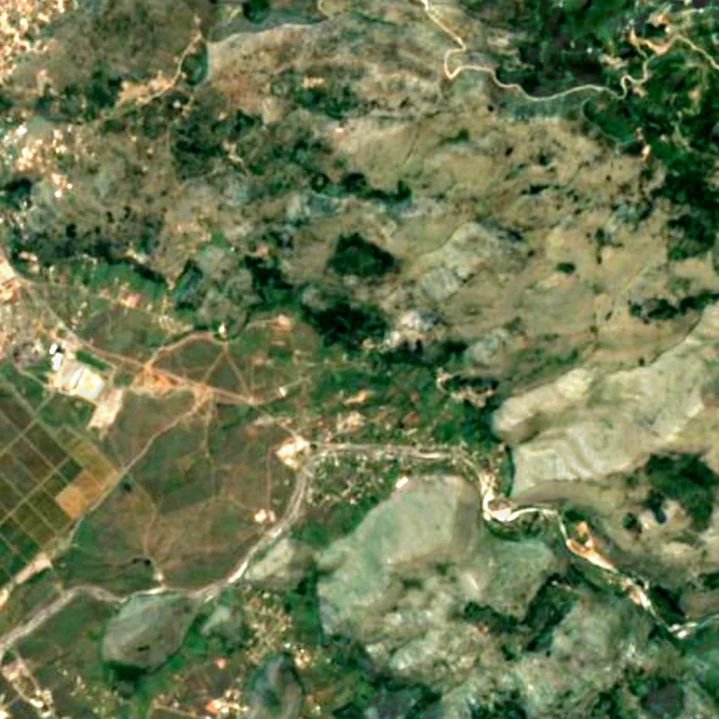 Dinoša mulberry tree seen from above (Sentinel-2)