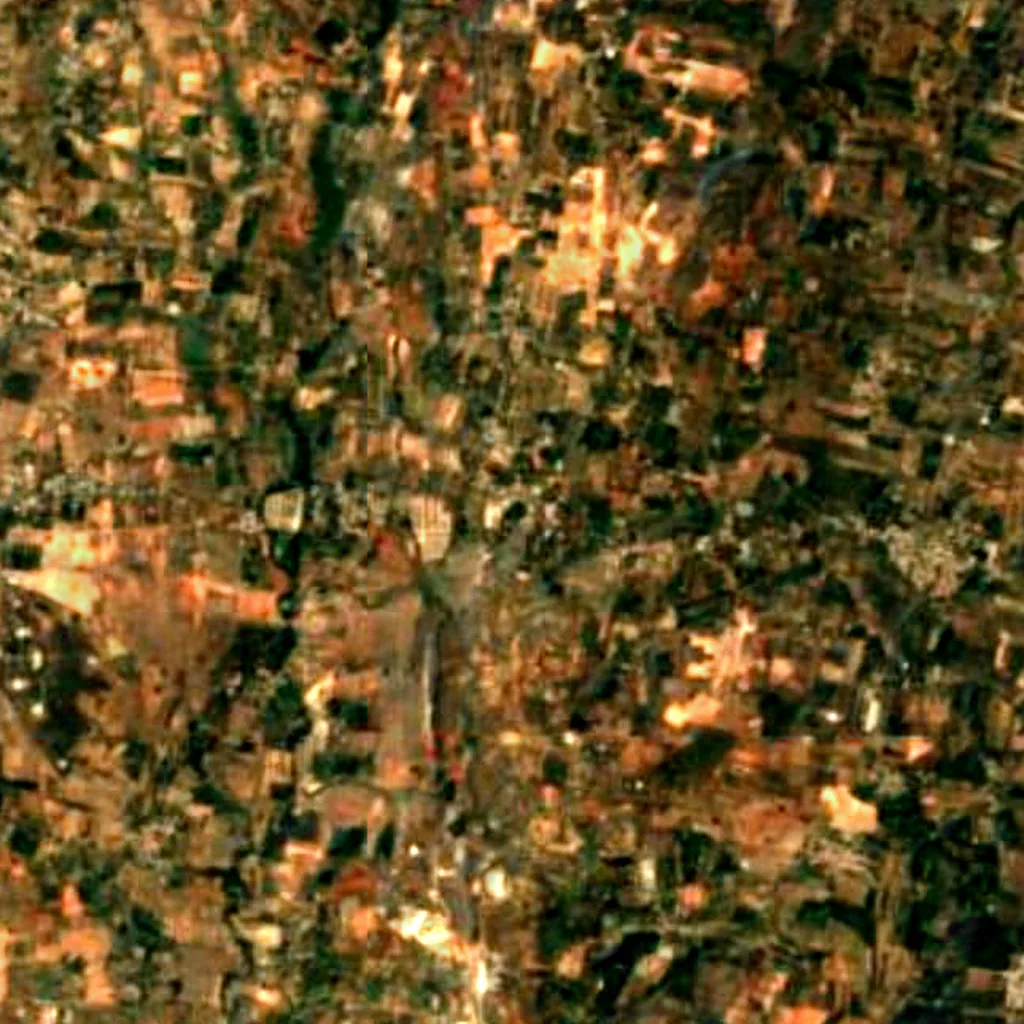 Dodda Alada Mara seen from above (Sentinel-2)