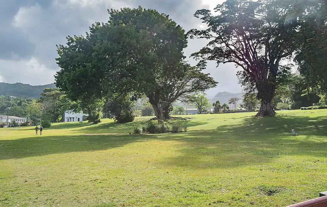 Dominica Botanical Gardens (1)