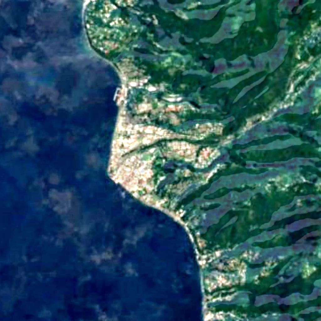 Dominica Botanical Gardens seen from above (Sentinel-2)