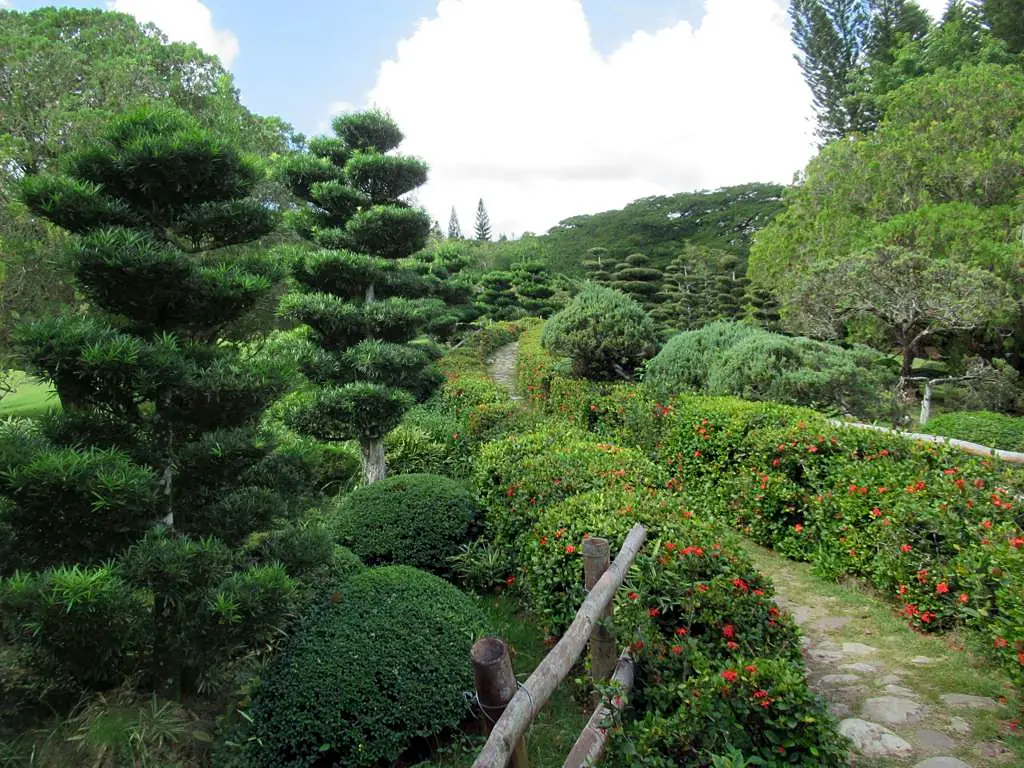 Jardín Botánico Nacional (33318691991)