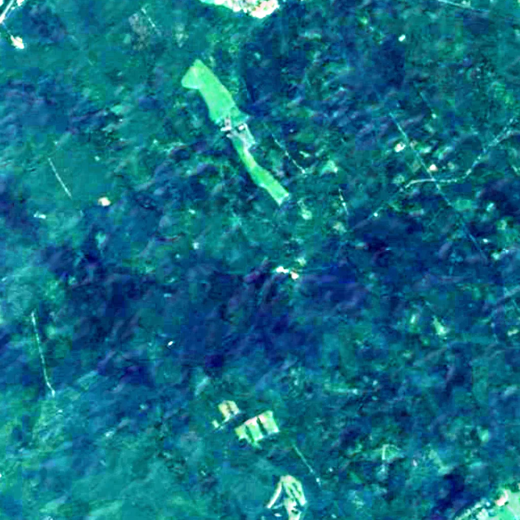 Dresden Heath seen from above (Sentinel-2)