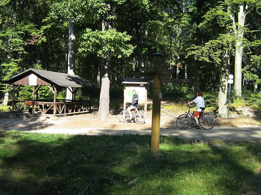 Siebenarmsaule Dubener Heide