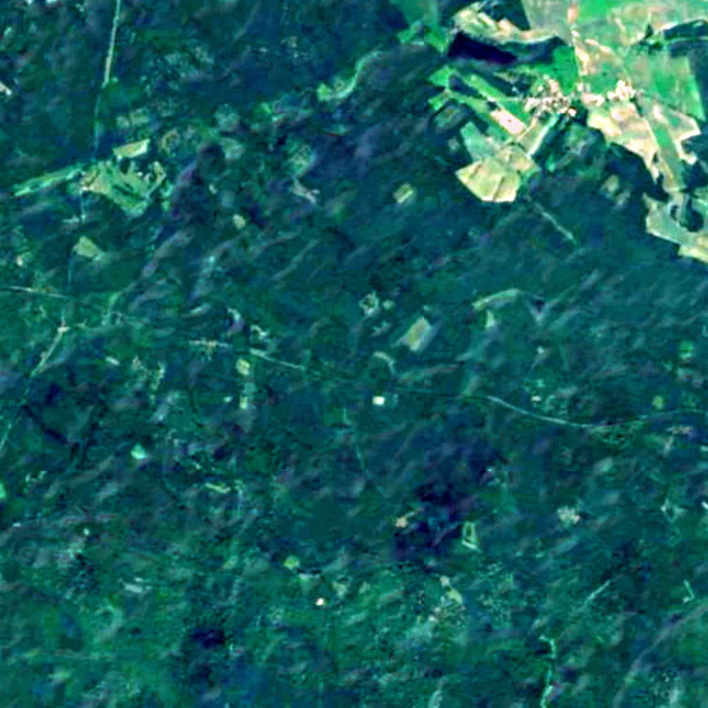 Düben Heath seen from above (Sentinel-2)