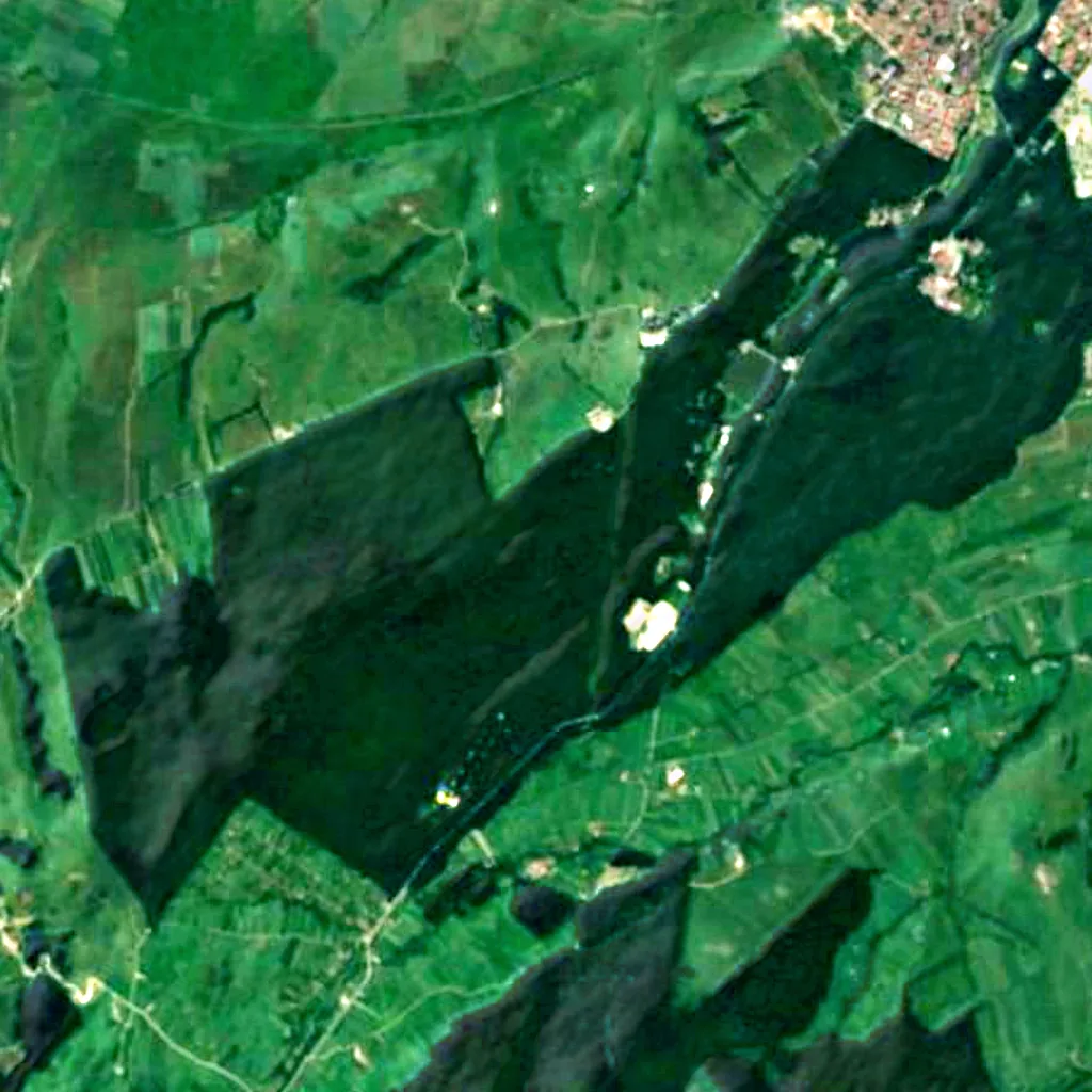 Dumbrava Sibiului visto desde arriba (Sentinel-2)