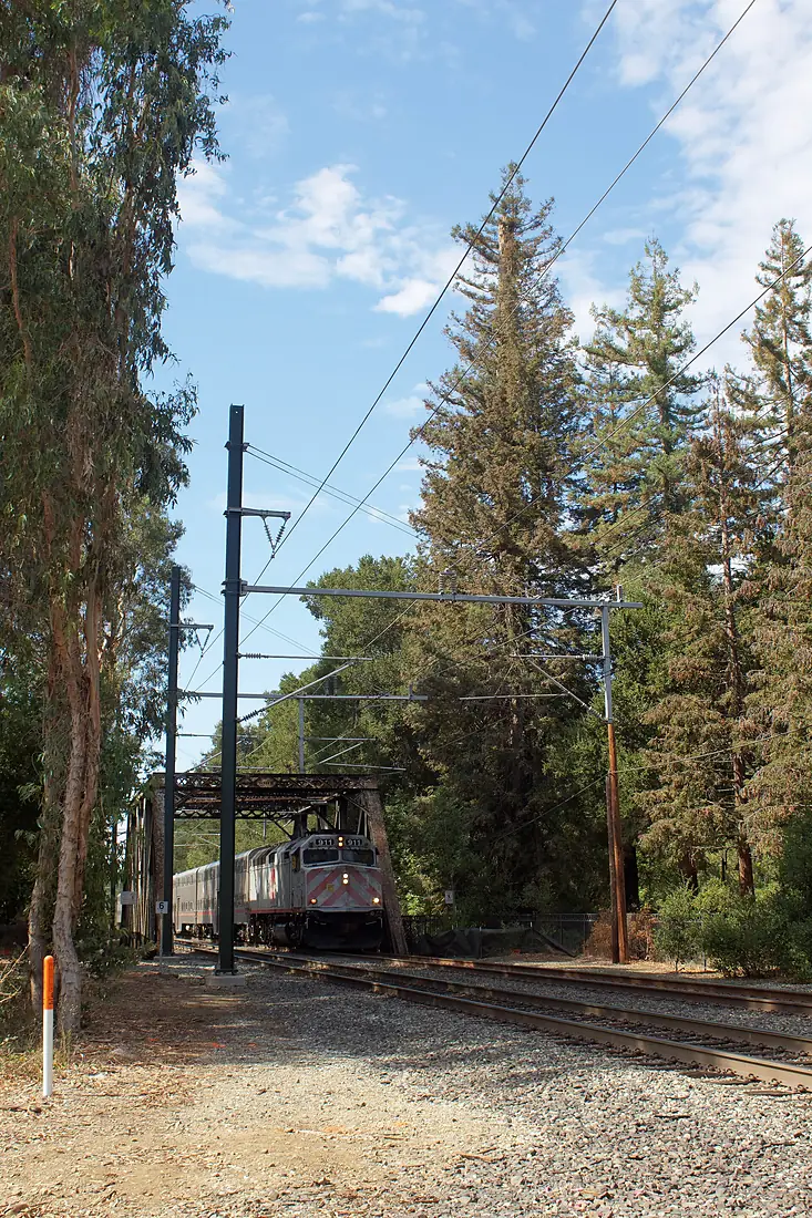 El Palo Alto with Caltrain 2022