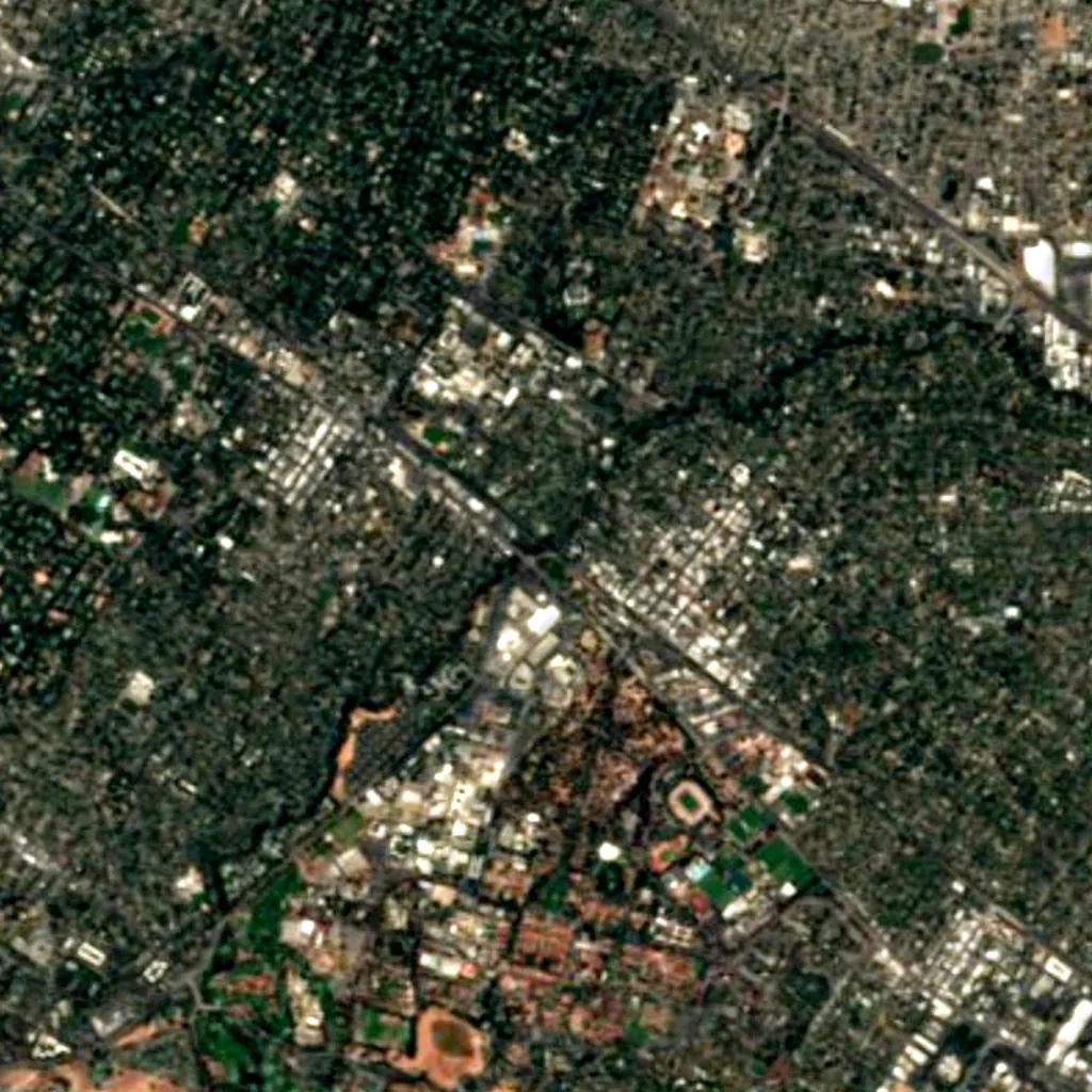 El Palo Alto seen from above (Sentinel-2)