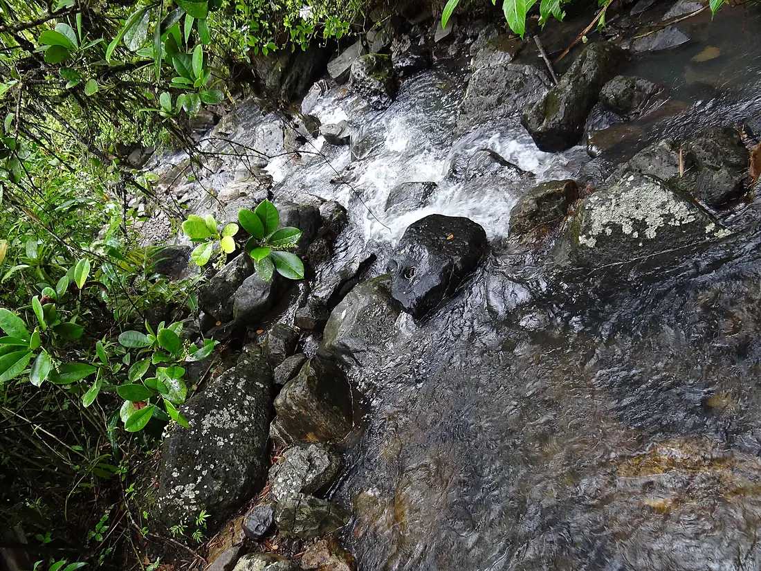Hike to La Mina Falls in El Yunque National Forest, Puerto Rico