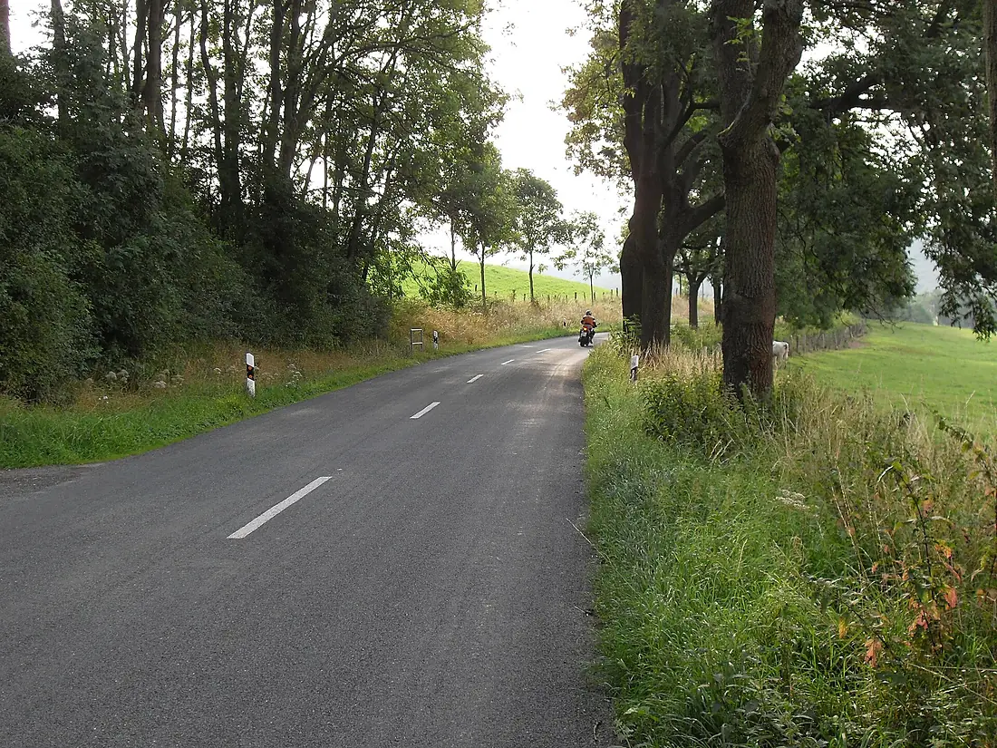 Reitlingstal-2