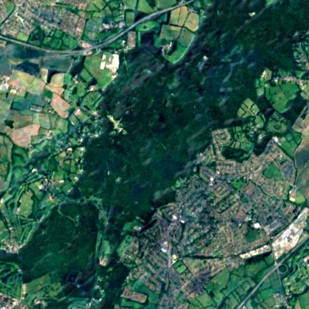 Epping Forest seen from above (Sentinel-2)