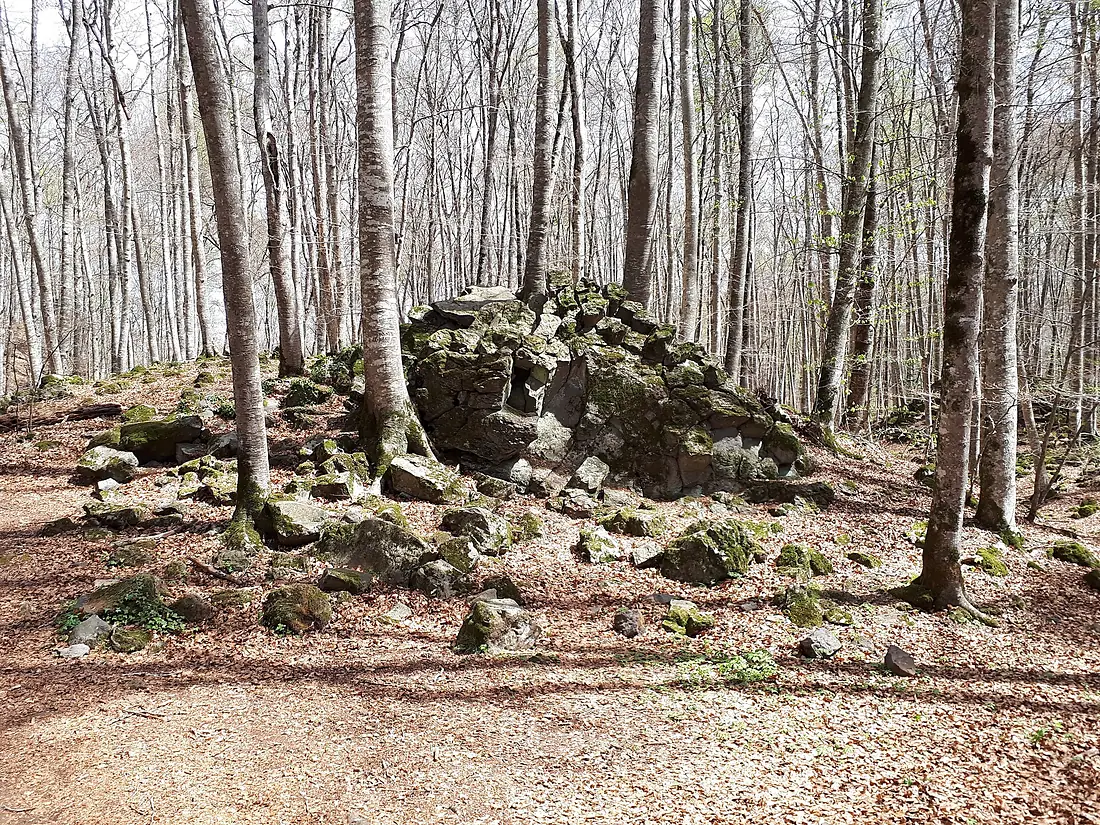 Tossol Fageda