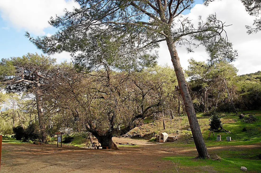 Smigies-nature-trail-pyrgos-tis-rigenas