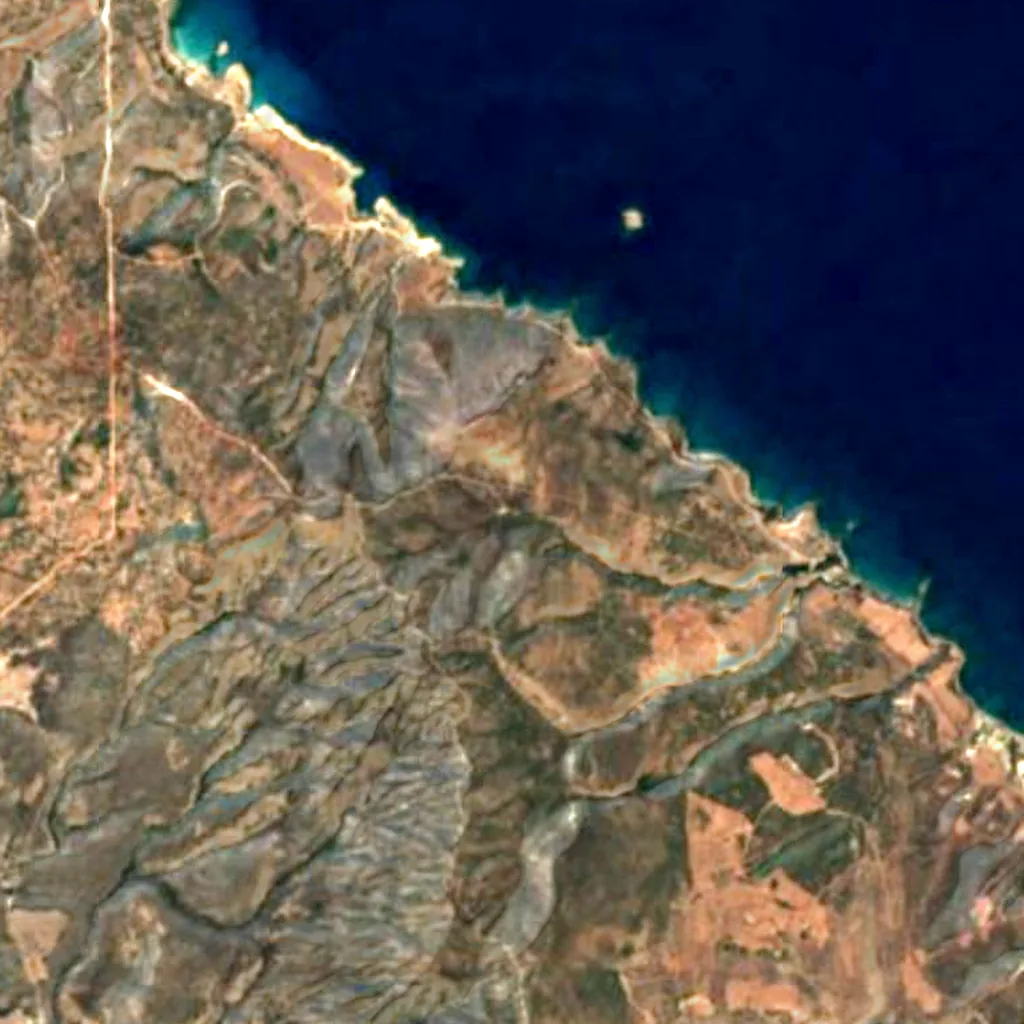 Famous Quercus Infectoria in Néo Chōrió seen from above (Sentinel-2)