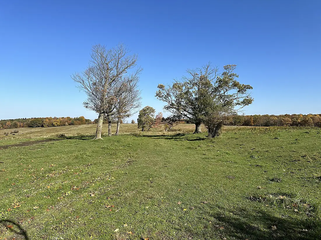 Finger Lakes National Forest - Oct 2022 - 52922257882