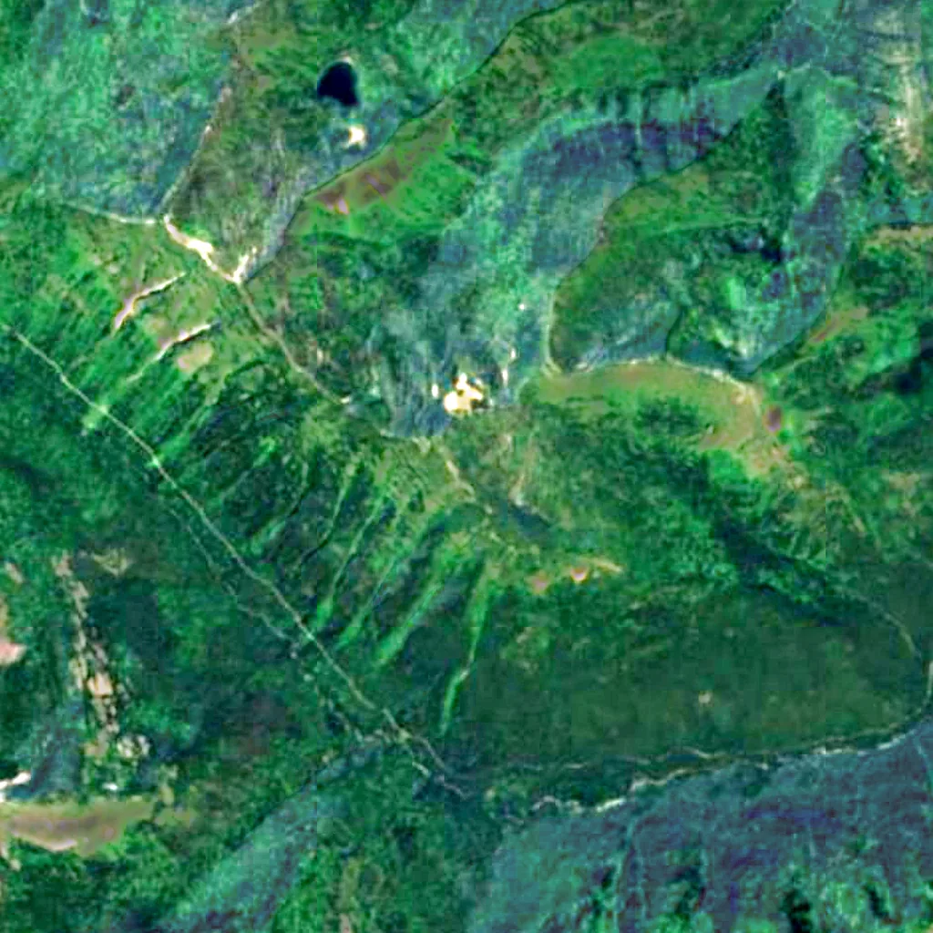 Flathead National Forest seen from above (Sentinel-2)