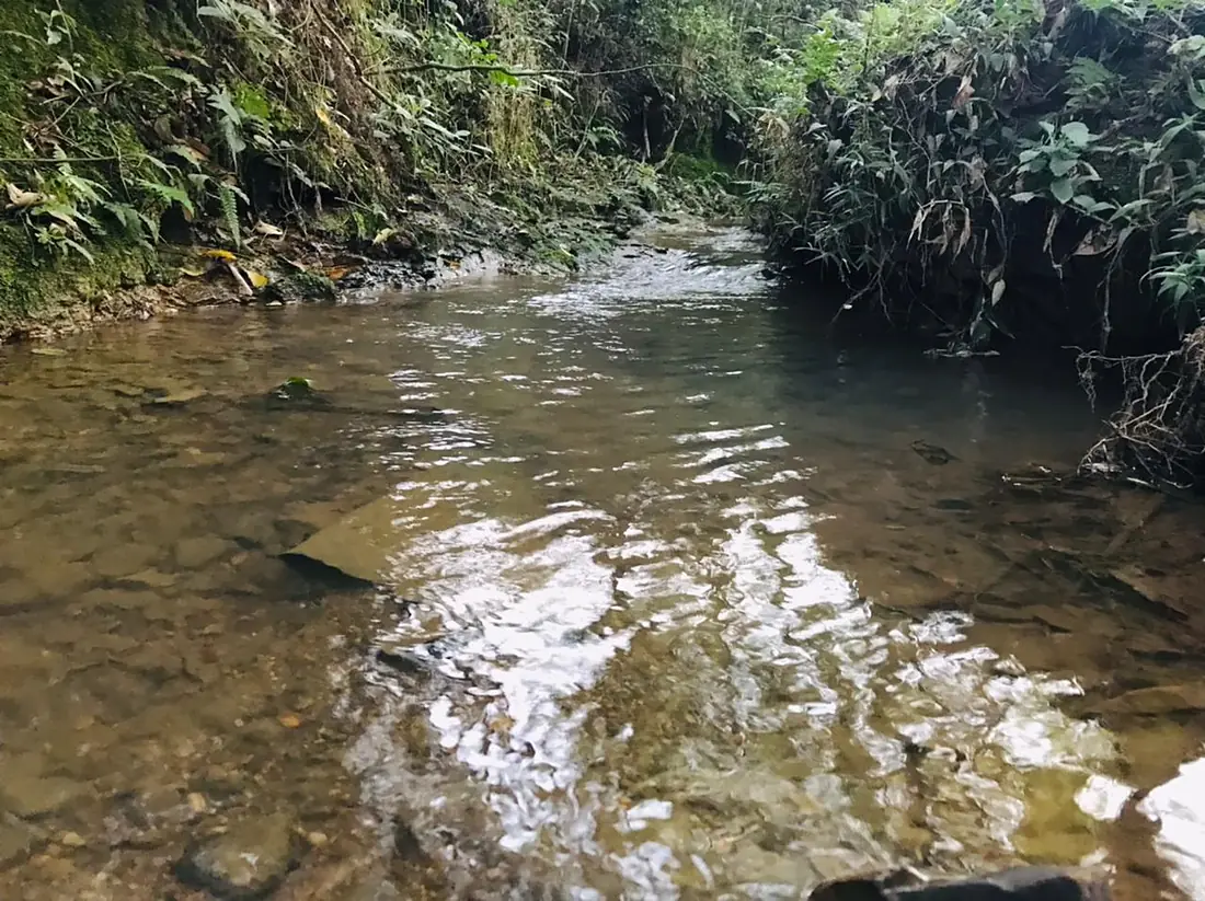 Águas da nascente