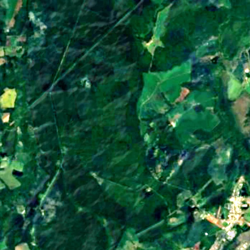 Floresta Nacional de Irati seen from above (Sentinel-2)