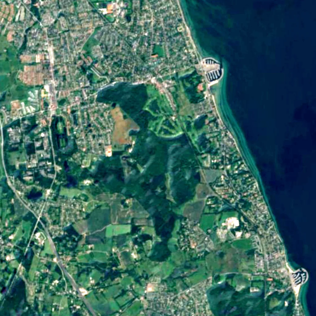Folehaveskoven seen from above (Sentinel-2)