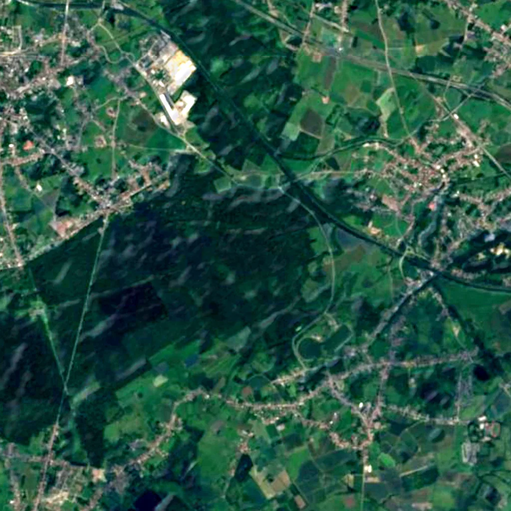 Forest of Bonsecours seen from above (Sentinel-2)