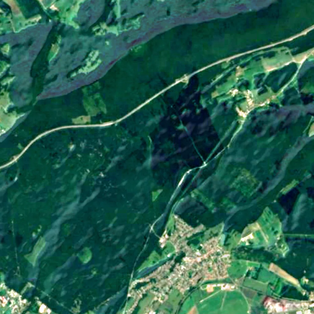 Forest of Chailluz seen from above (Sentinel-2)