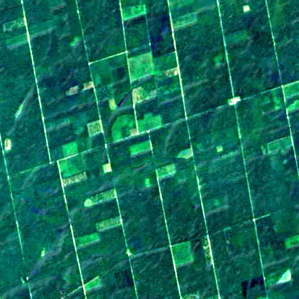 Forest of Chaux seen from above (Sentinel-2)
