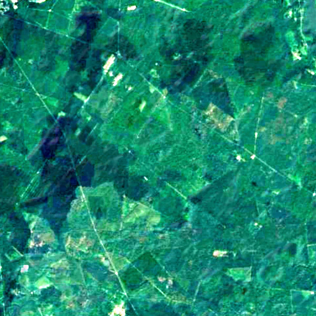 Forest of Compiègne seen from above (Sentinel-2)