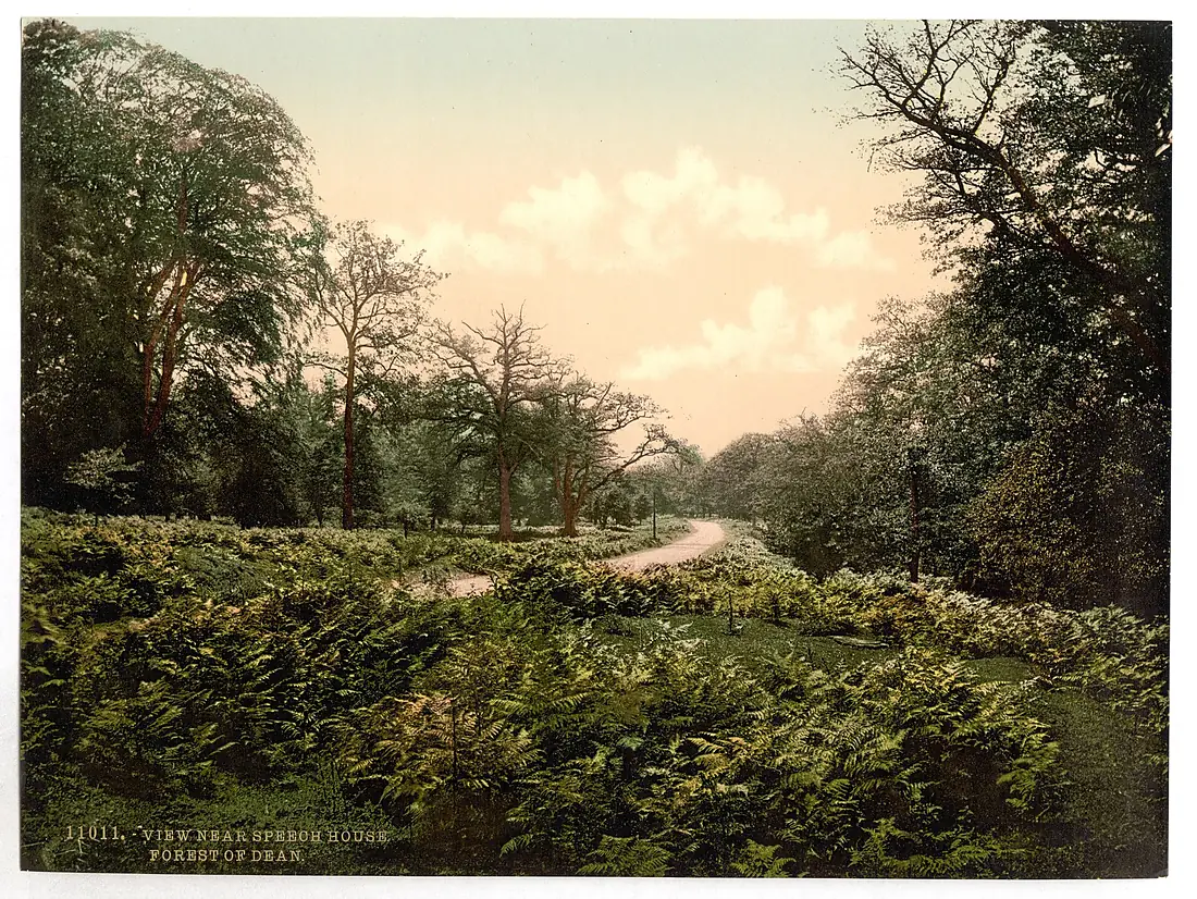 A view near Speech House, Forest of Dean, England-LCCN2002696753