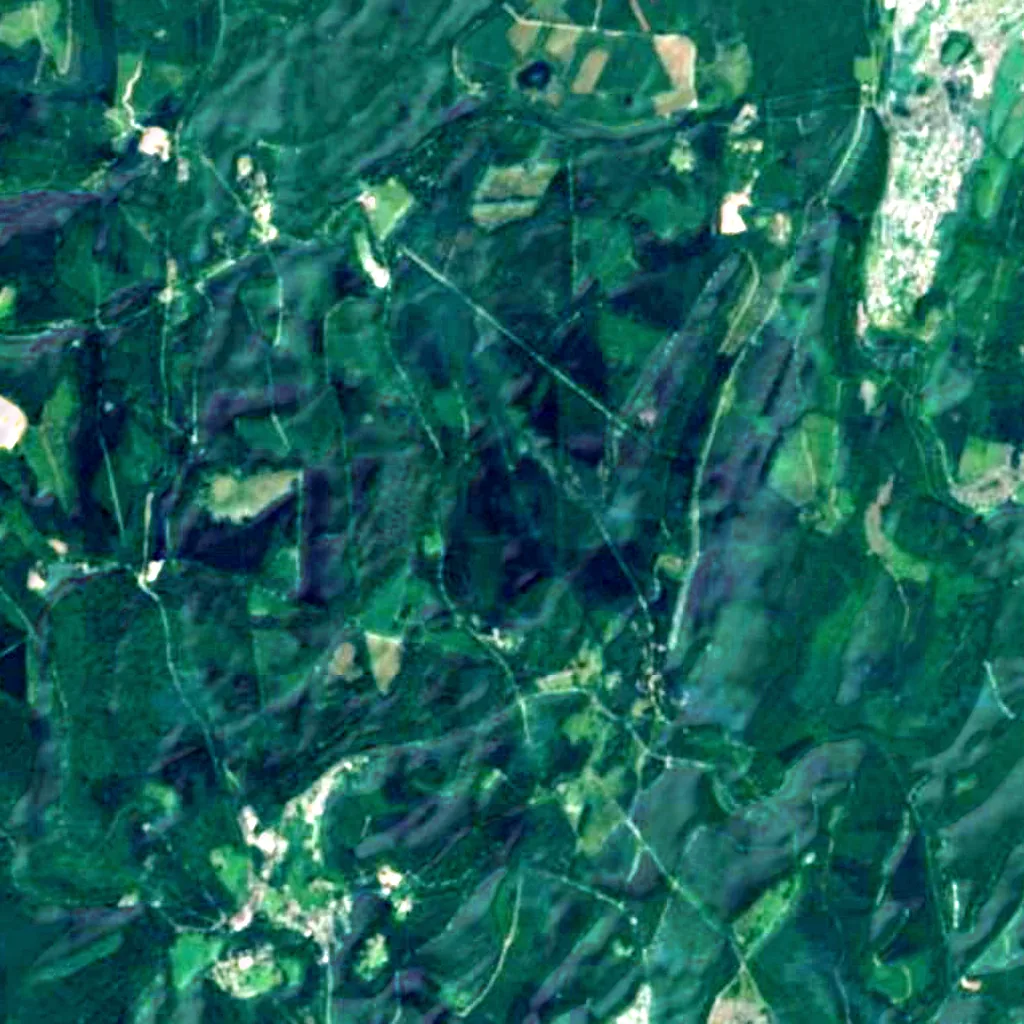 Forest of Dean seen from above (Sentinel-2)
