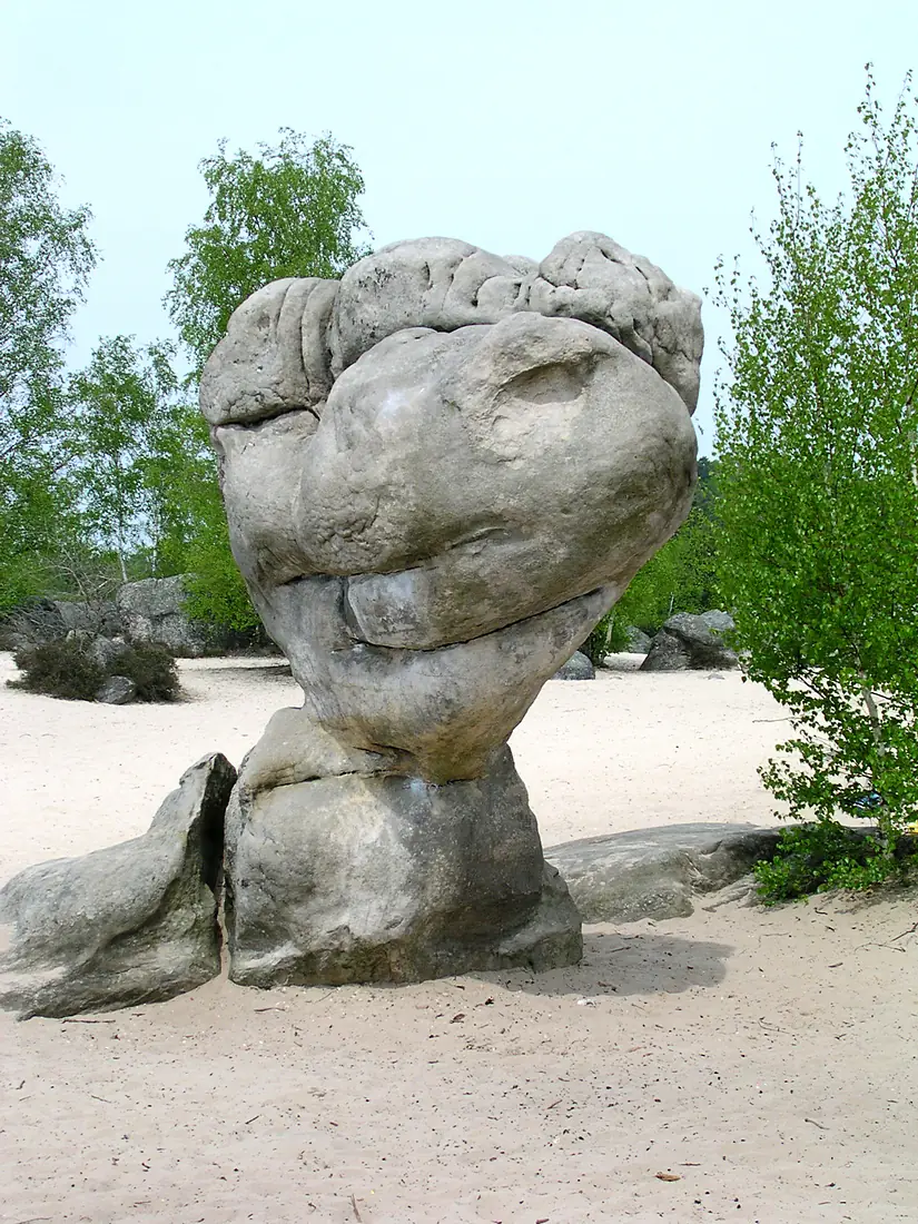 Fontainebleau Bilboquet