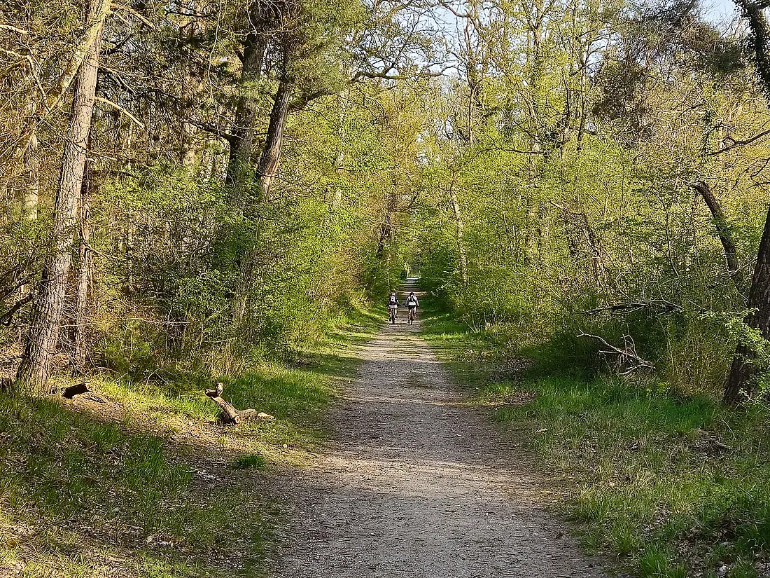 2024-04-12 18-54-37 - Fontainebleau - Forêt