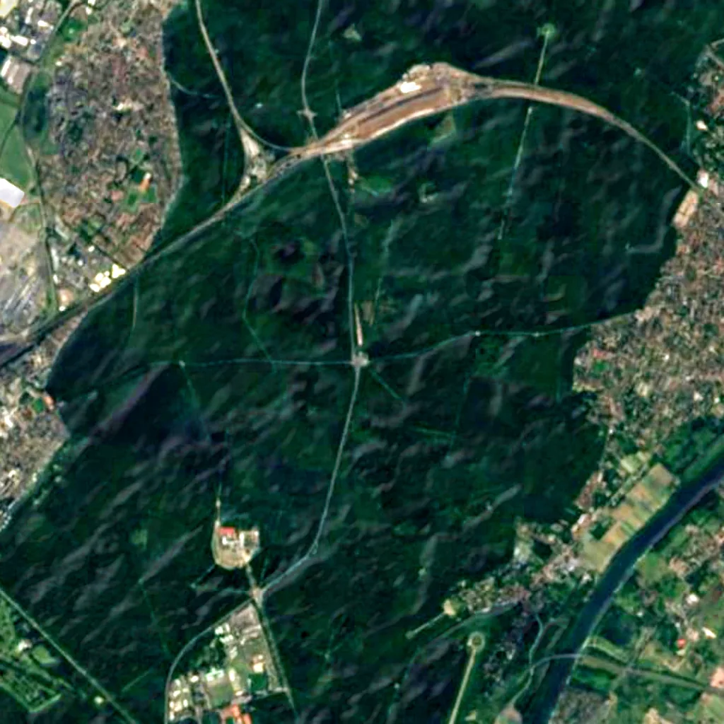 Forest of Saint-Germain-en-Laye seen from above (Sentinel-2)