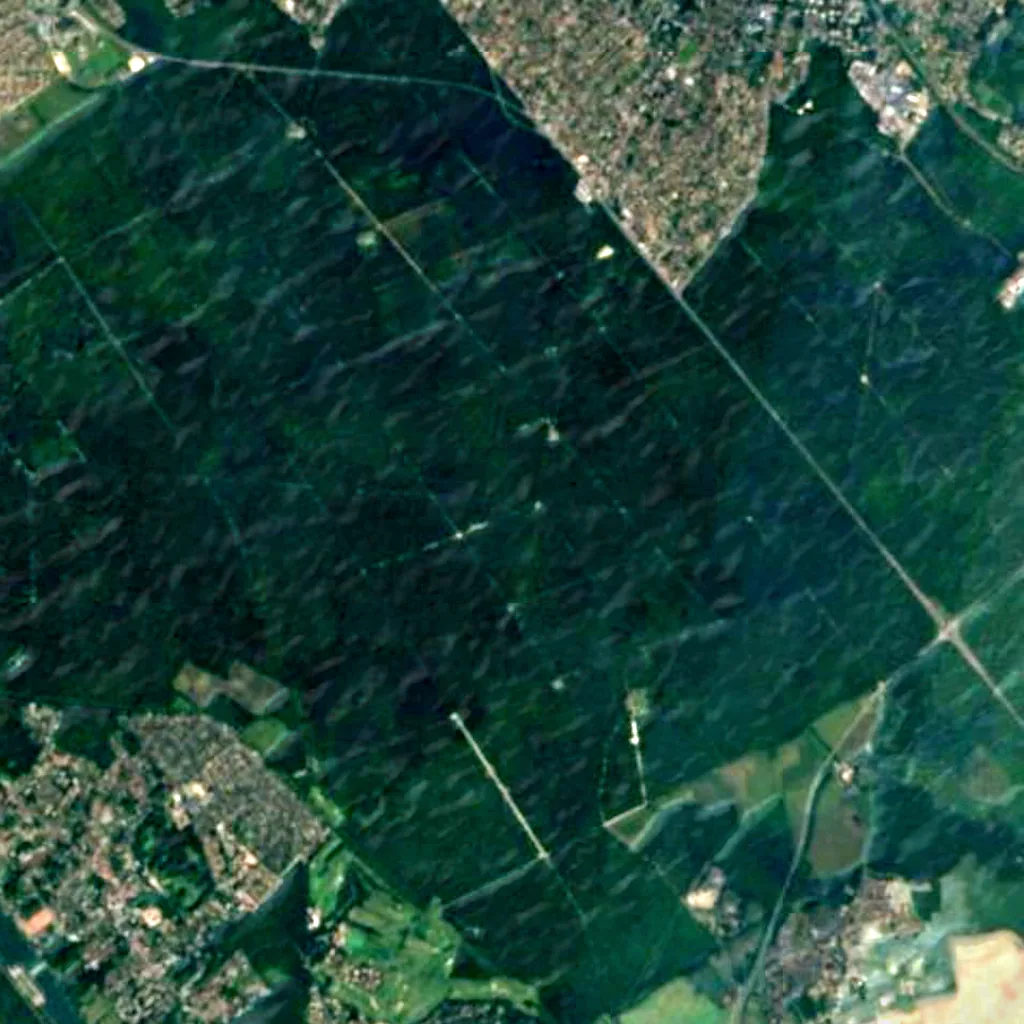 Forest of Sénart seen from above (Sentinel-2)