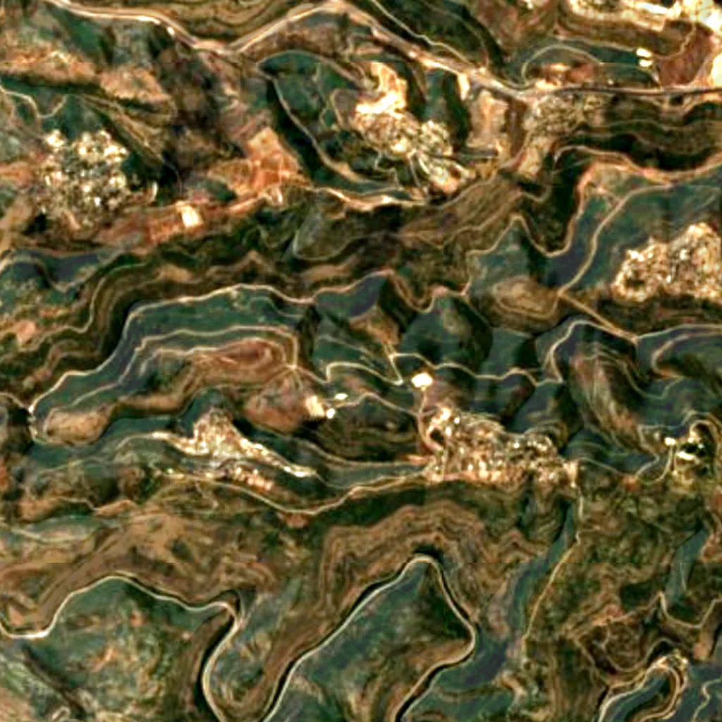 Forest of the Martyrs seen from above (Sentinel-2)
