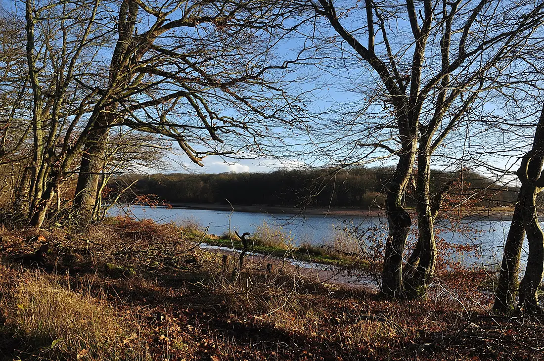 Forêt de Tronçais Etang de PIROT