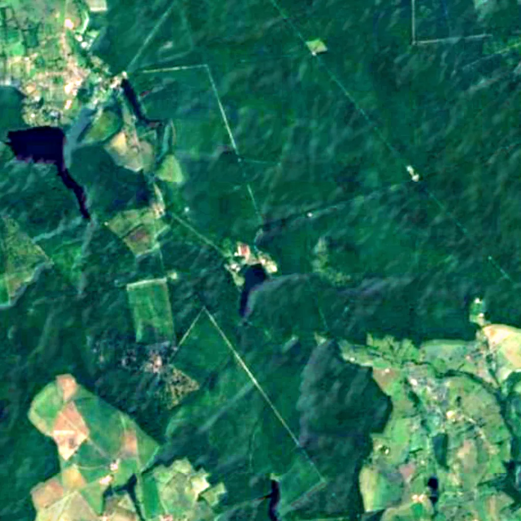 Forest of Tronçais seen from above (Sentinel-2)