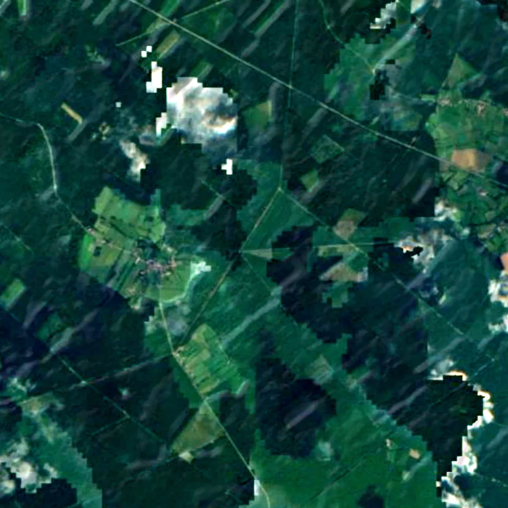 Forêt de Mormal seen from above (Sentinel-2)