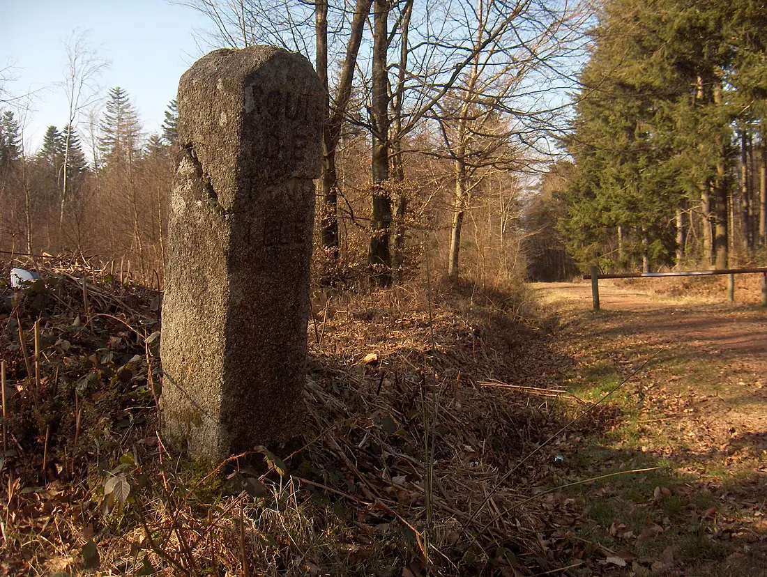 Borne de la forêt d'Ecouves - Tanville