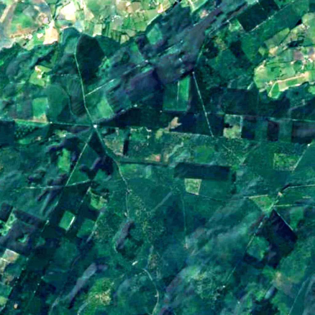 Forêt d'Écouves seen from above (Sentinel-2)