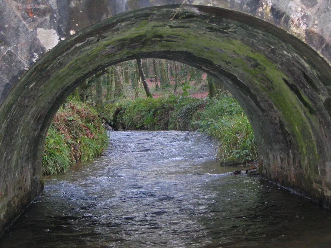 Foret du cranou